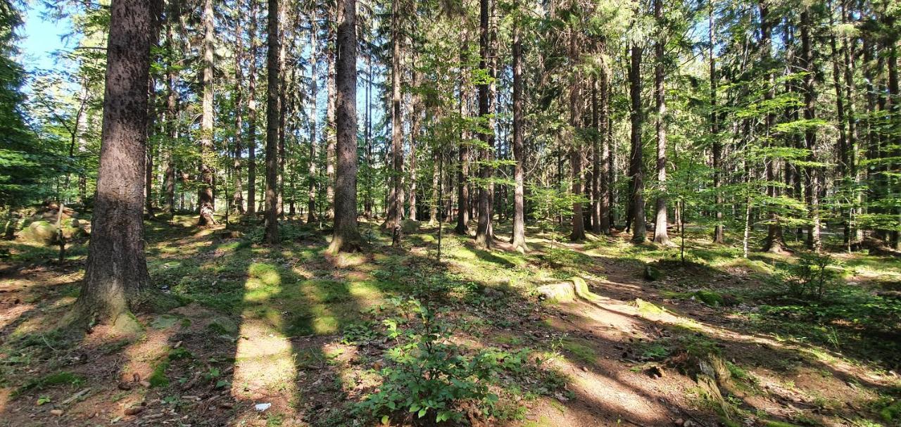 Domek Tylko Tu Szklarska Poreba Exterior photo